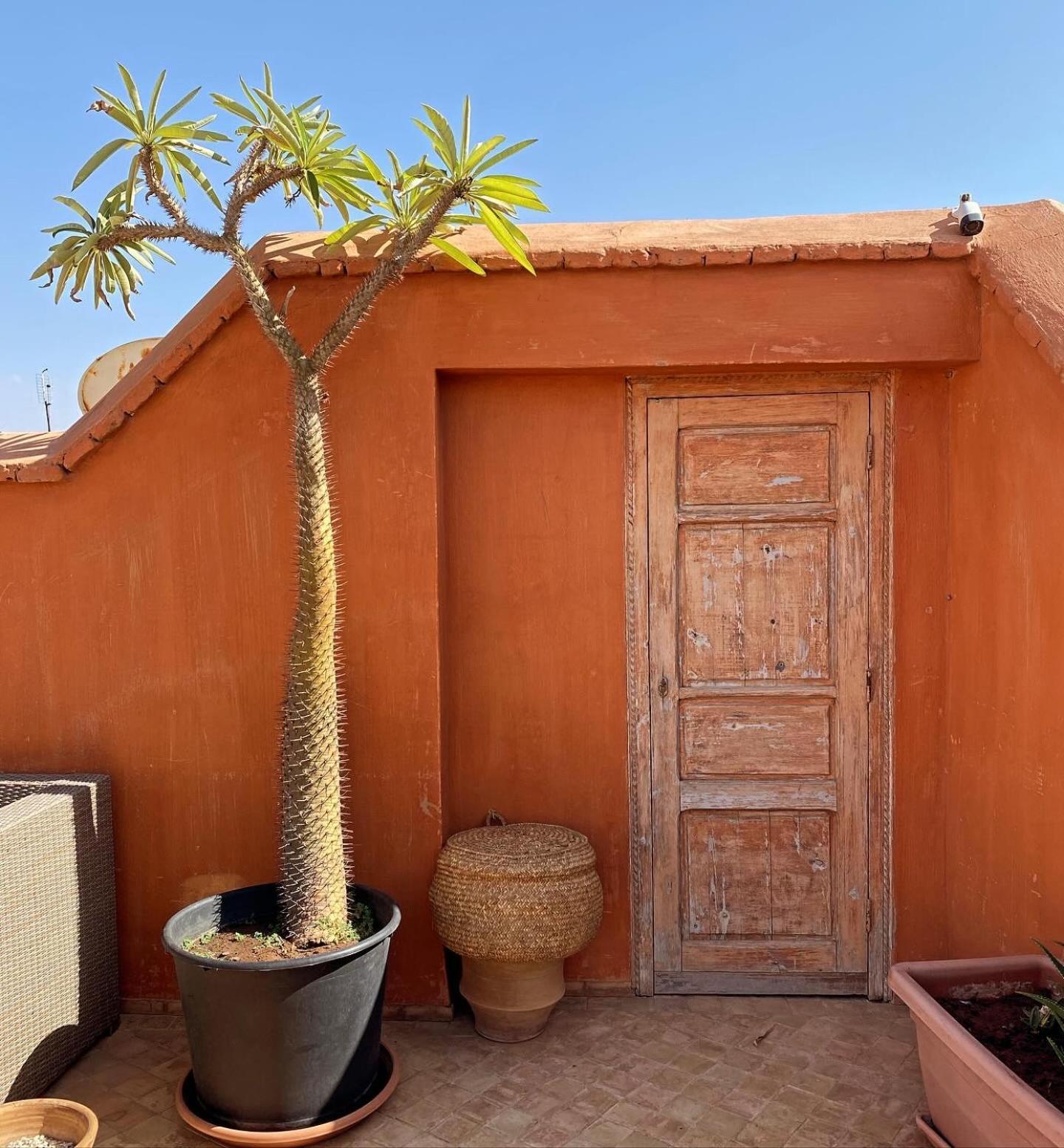 Riad Rossi Marraquexe Exterior foto